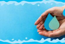 What Are 3 Ways Water Supports Your Overall Health