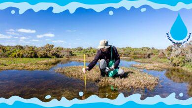 Why is It Important to Measure Water Quality