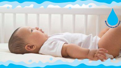 6 Months Old Water Intake