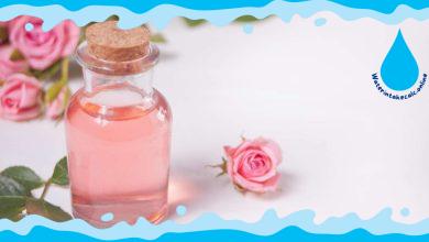 Does Rose Water Help With Pigmentation