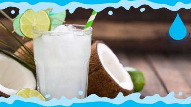 Does Coconut Water Freeze Discover the Chilling Truth!