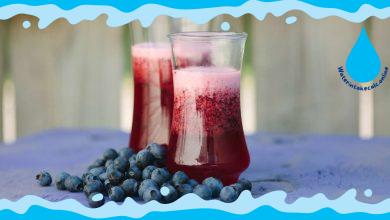 How to Make Blueberry Water